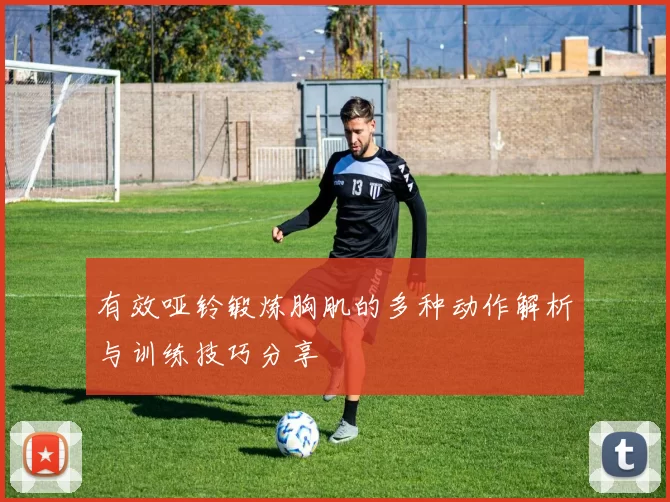 有效哑铃锻炼胸肌的多种动作解析与训练技巧分享